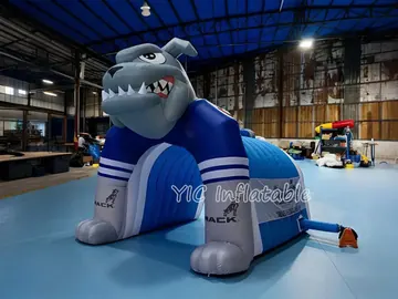 shark themed branded inflatable display detail view