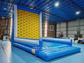 Inflatable Rock Climb Slide detail view