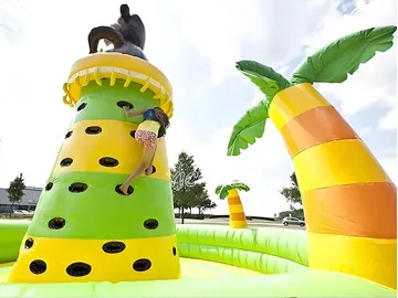 Monkey Theme Inflatable Climbing Tower activity layout