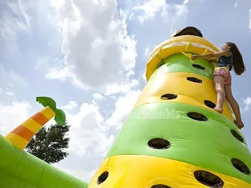 Monkey Theme Inflatable Climbing Tower commercial use view